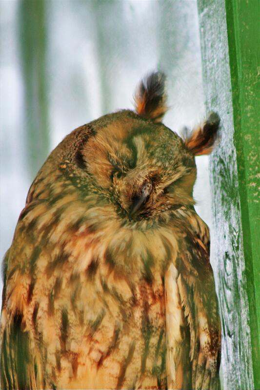 �� ����.. � ���������!