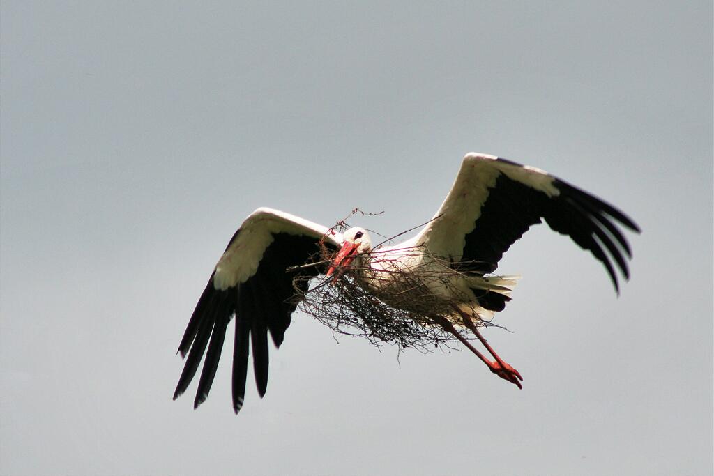 �� ������������