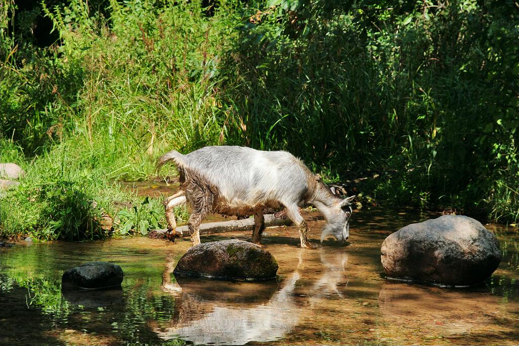 �������