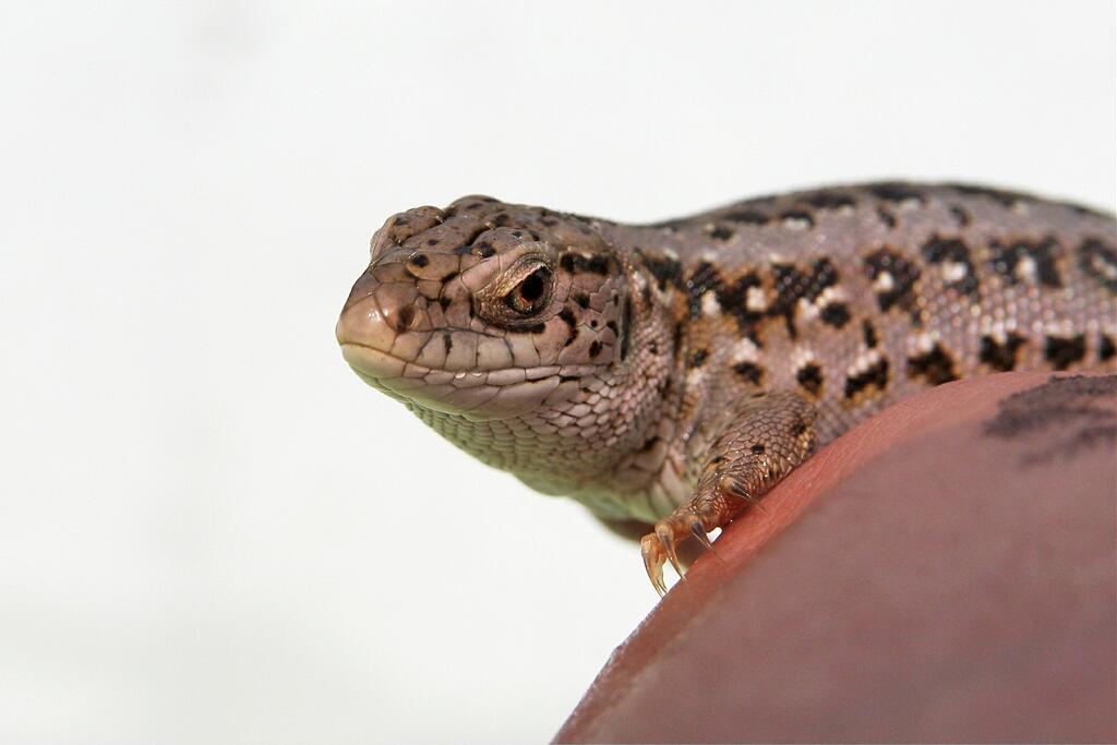 �� � ����� �� ��� ���� ������ ���������������?