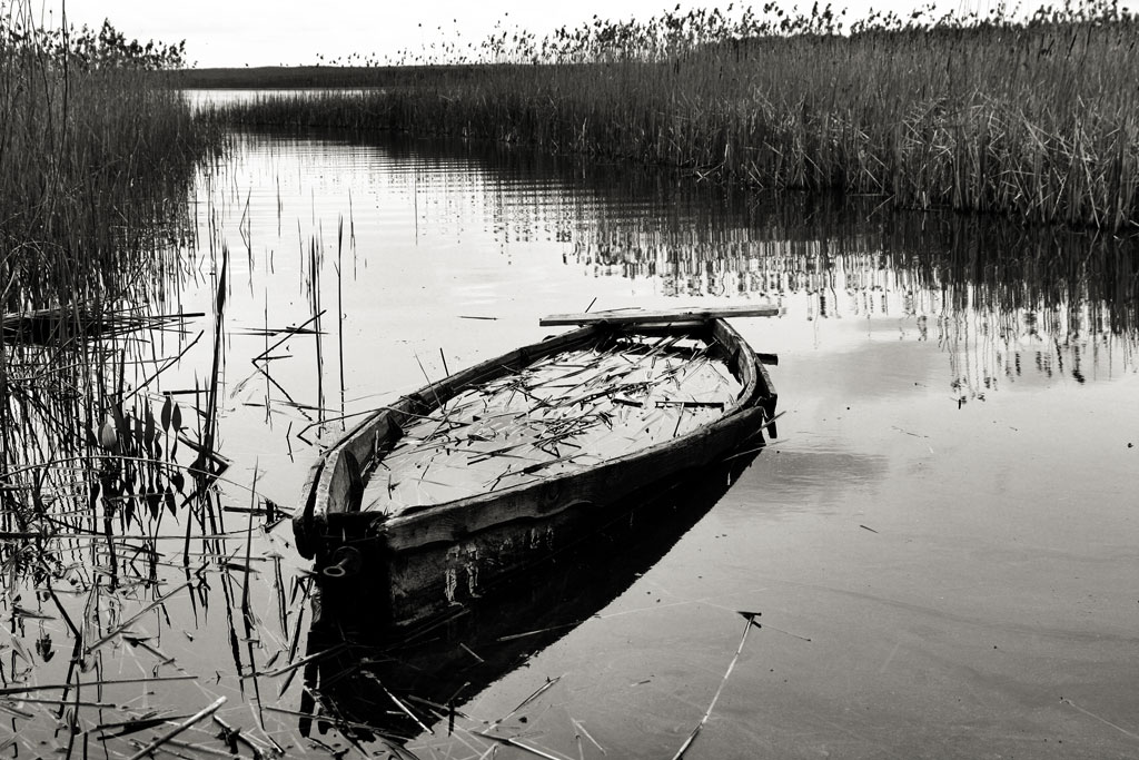 ����� �� ����� ��� �����...