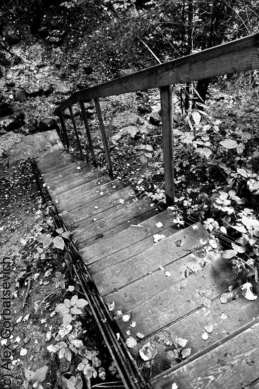 � ������