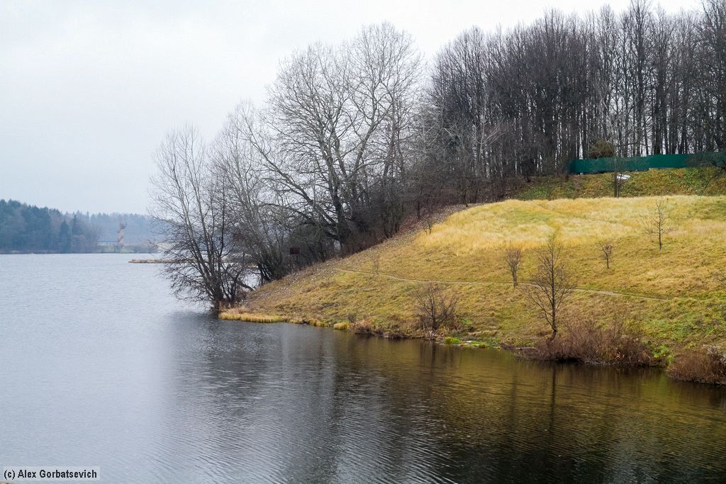 ������