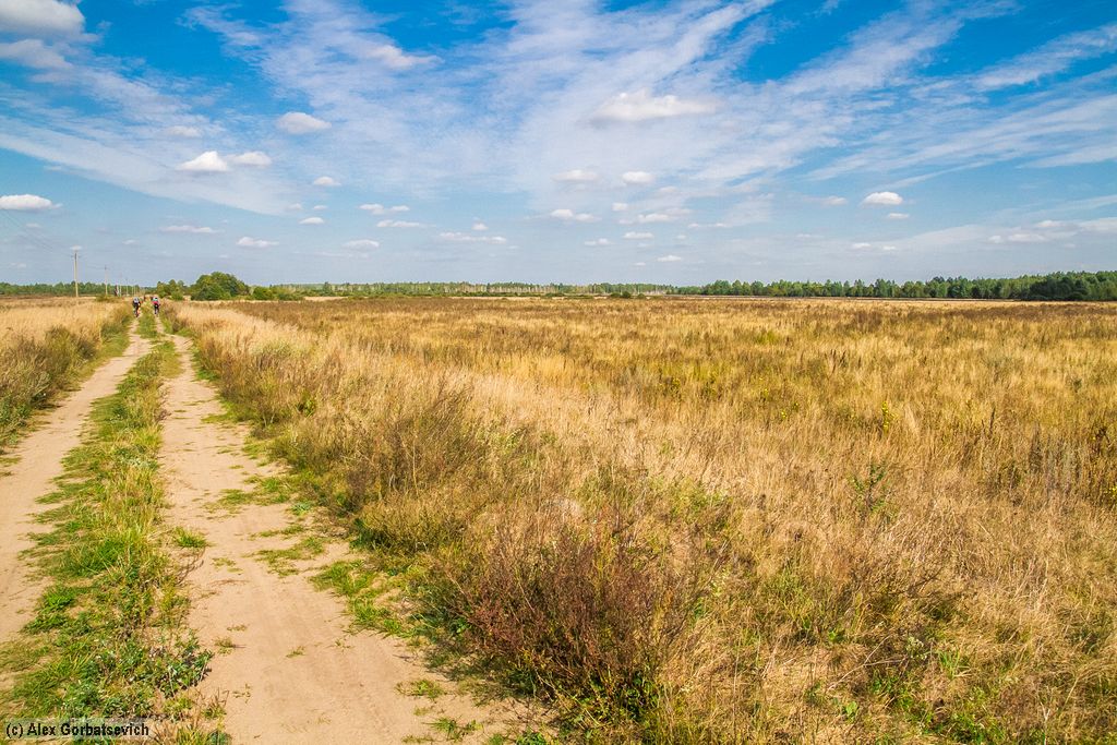 ������ ������