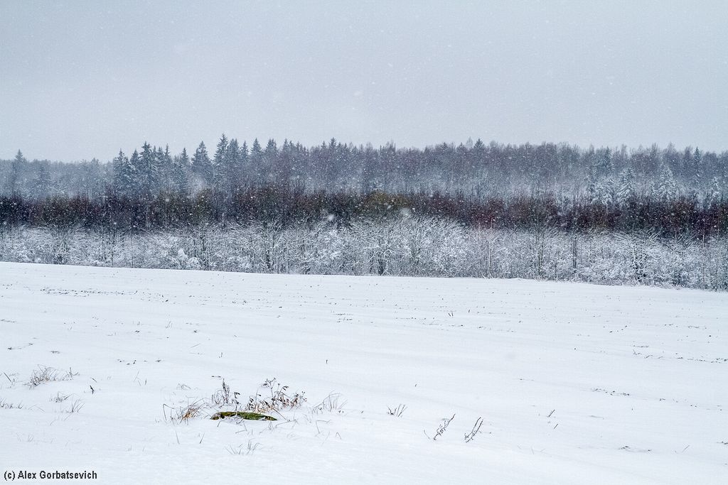 �����