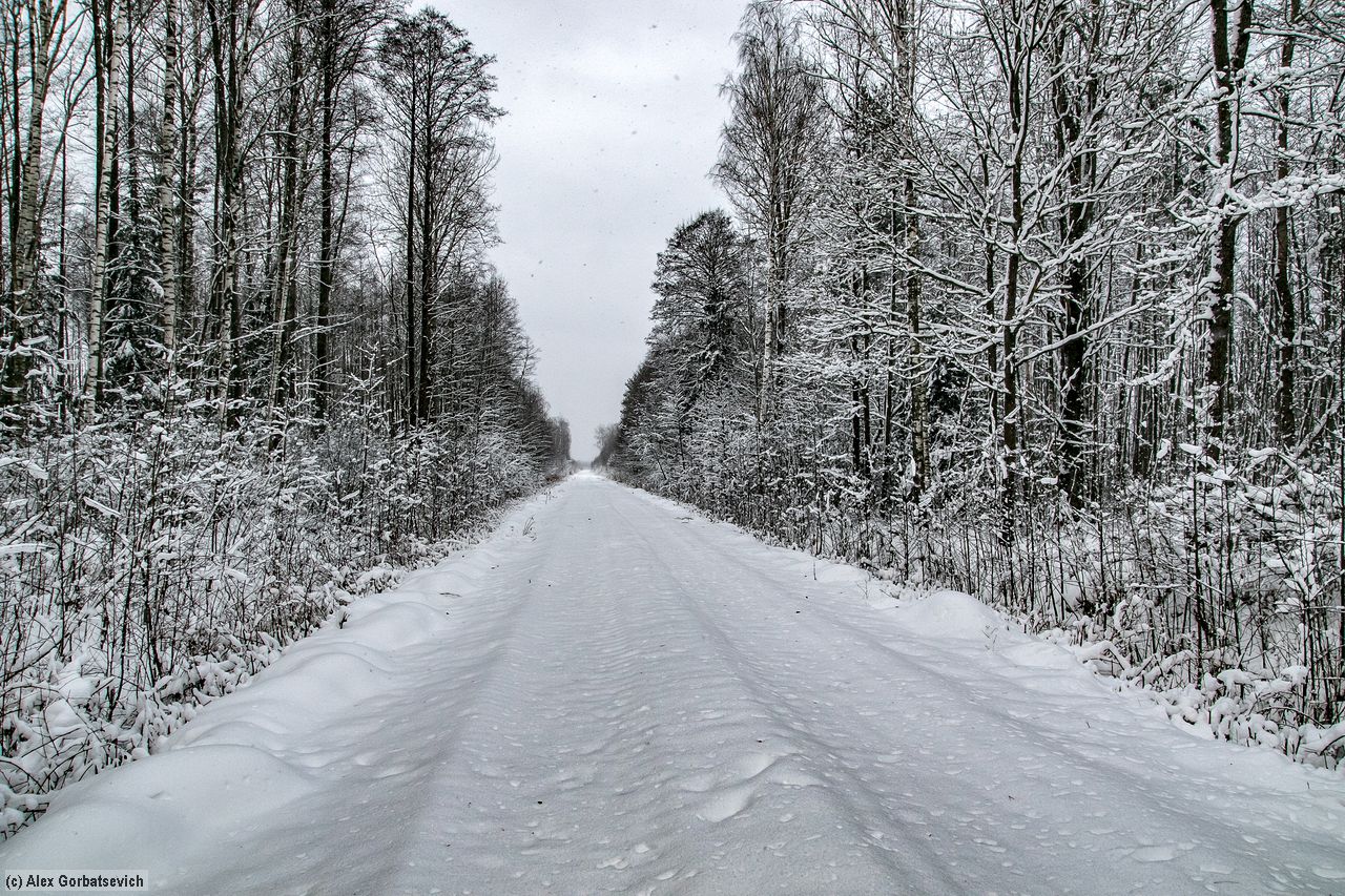 снежными дорогами