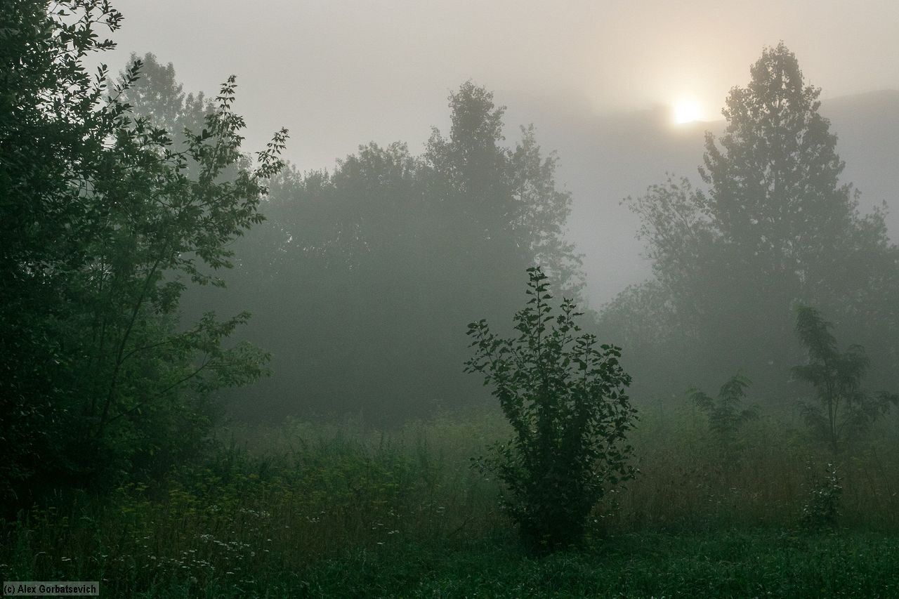 silent hill