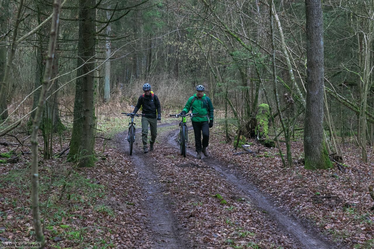 ������