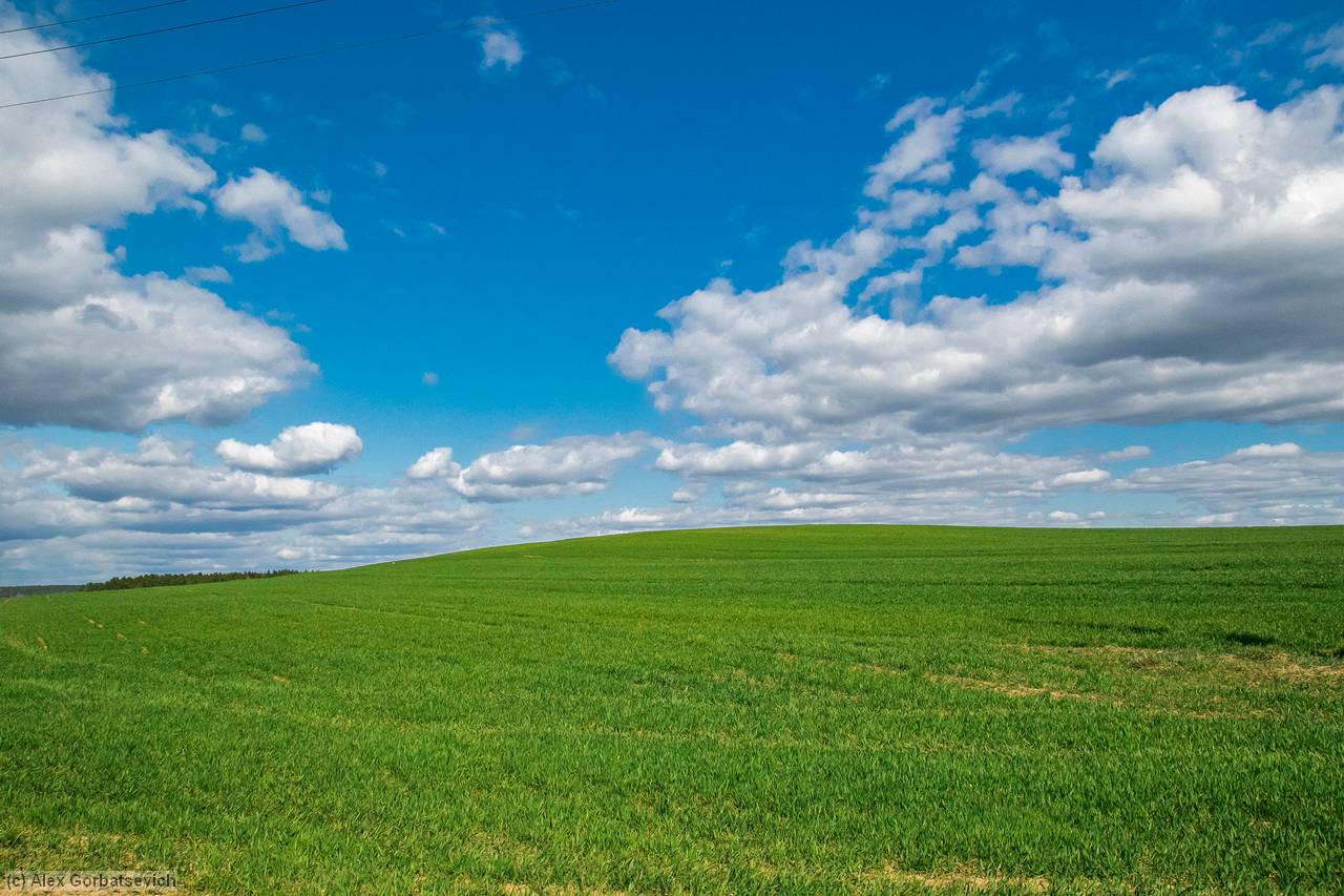 windows xp