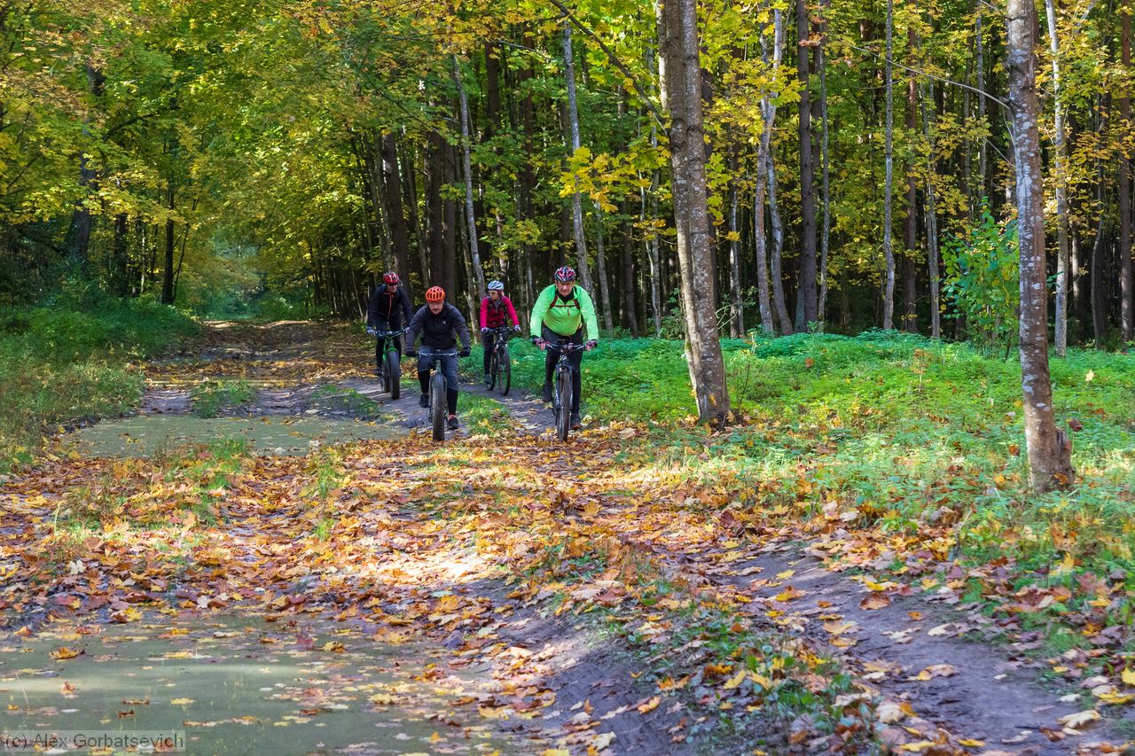 ������