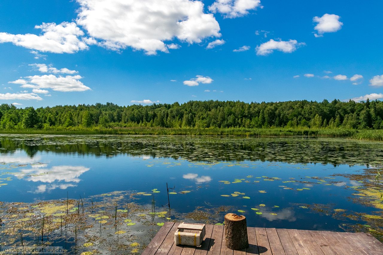 ������
