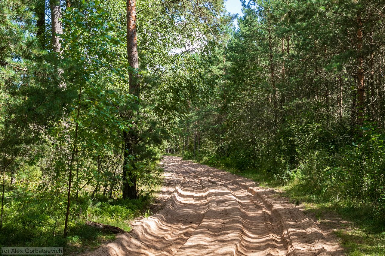 ������ ��� �������