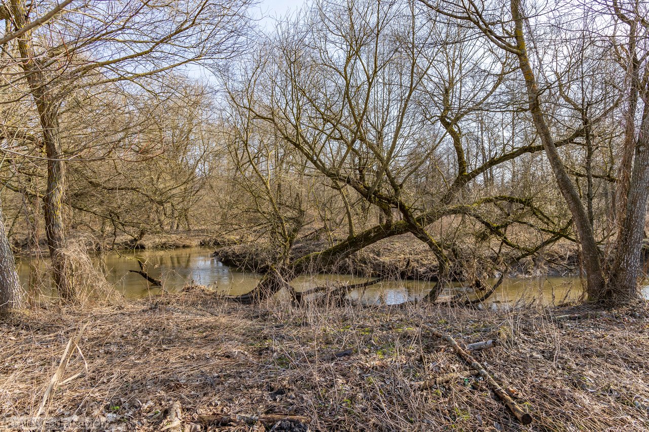 ����. �������������.  ����� �� ������ ��������������