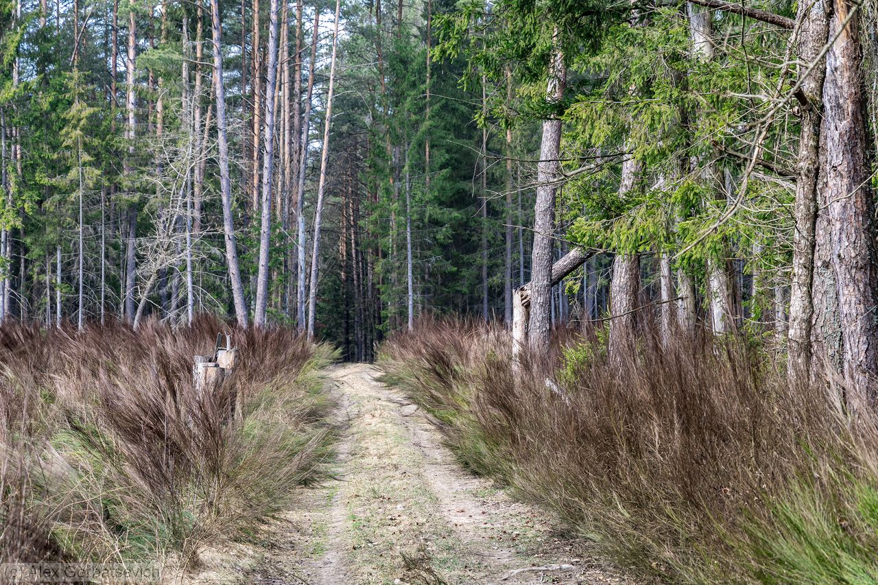 ��������� ������