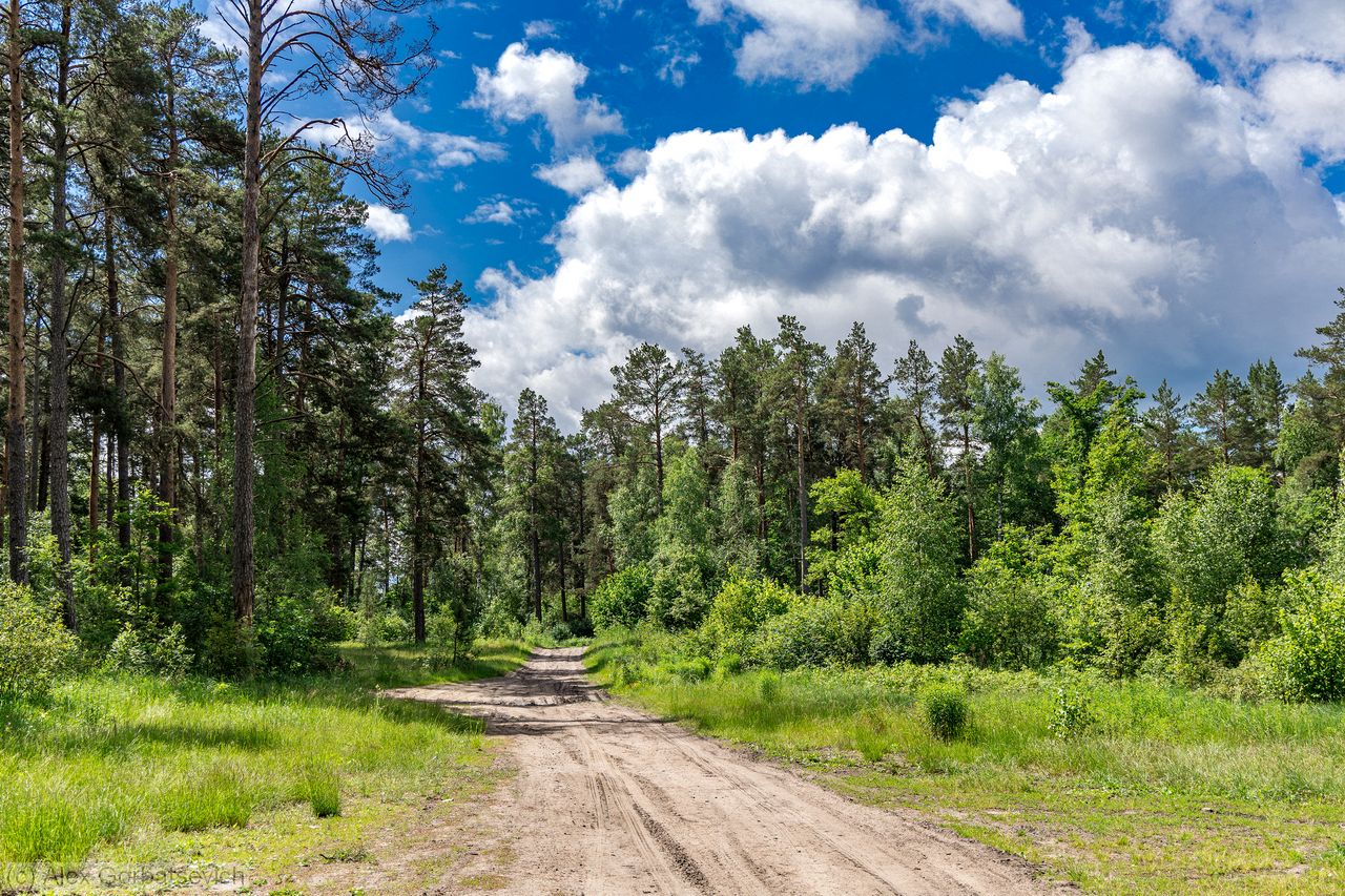 ������ ������