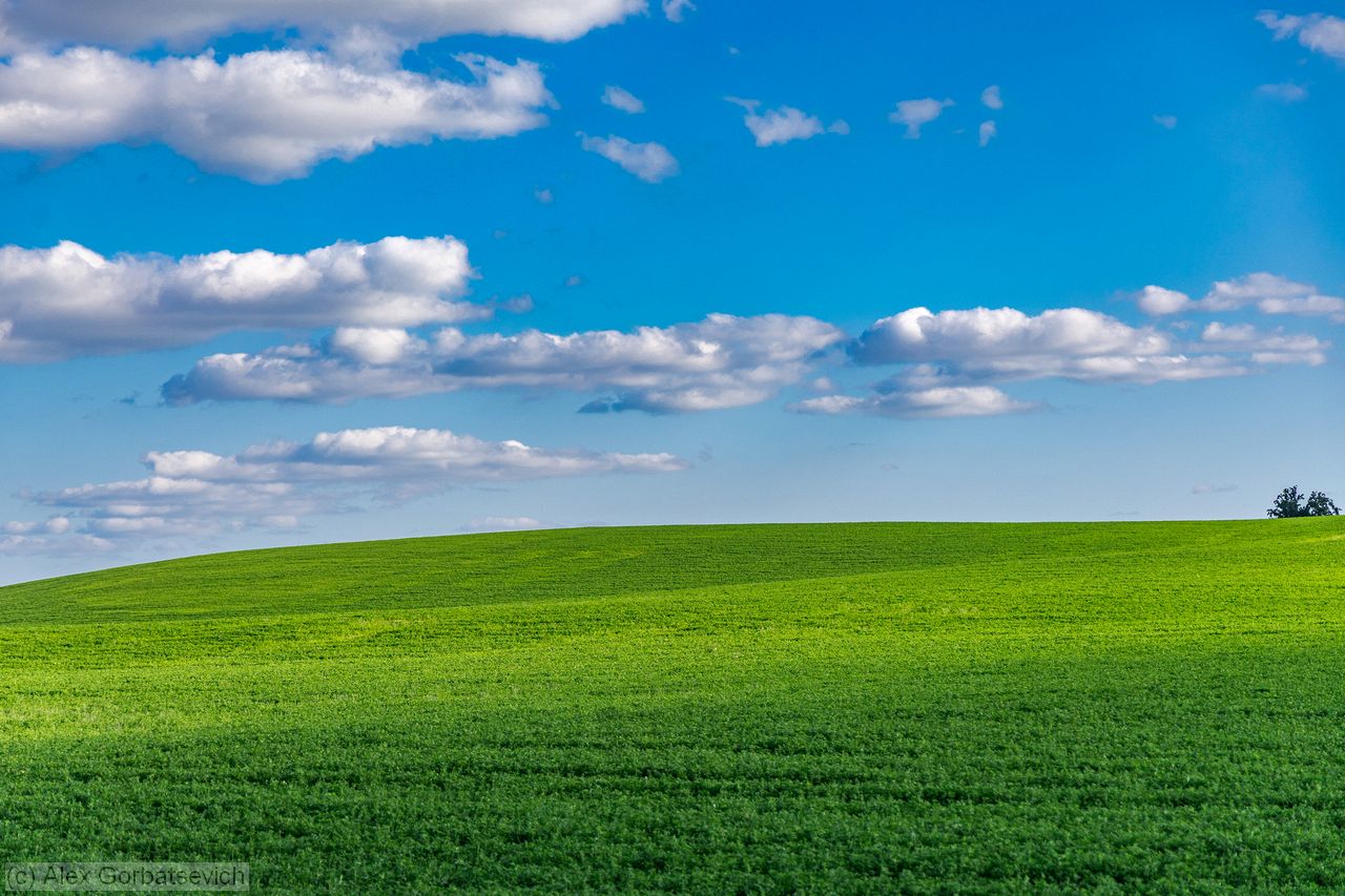 window xp