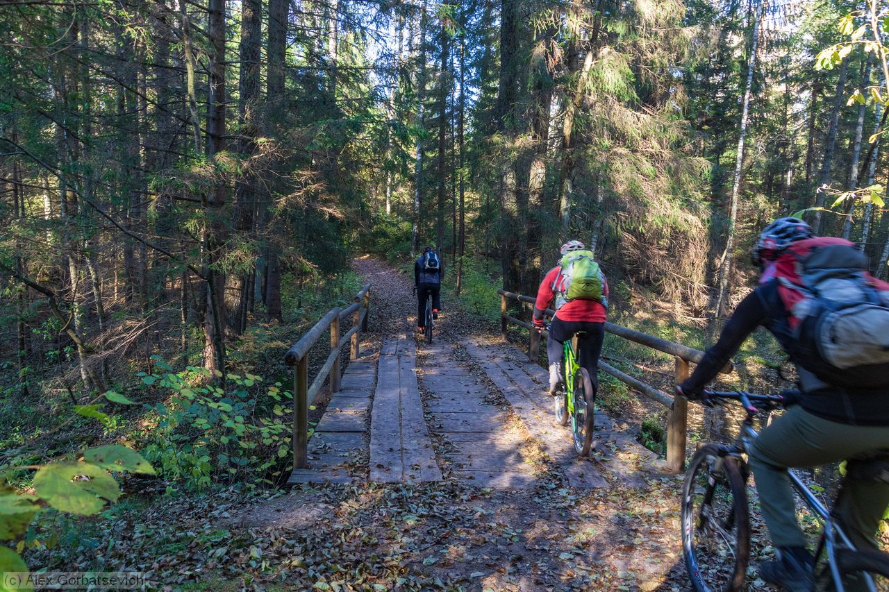 ����� ������