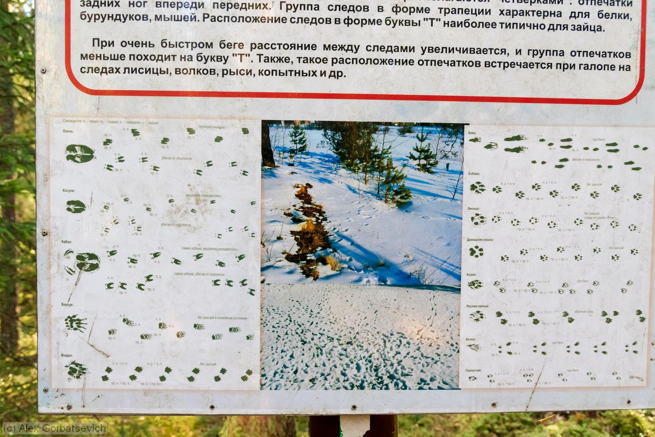 ����� ������