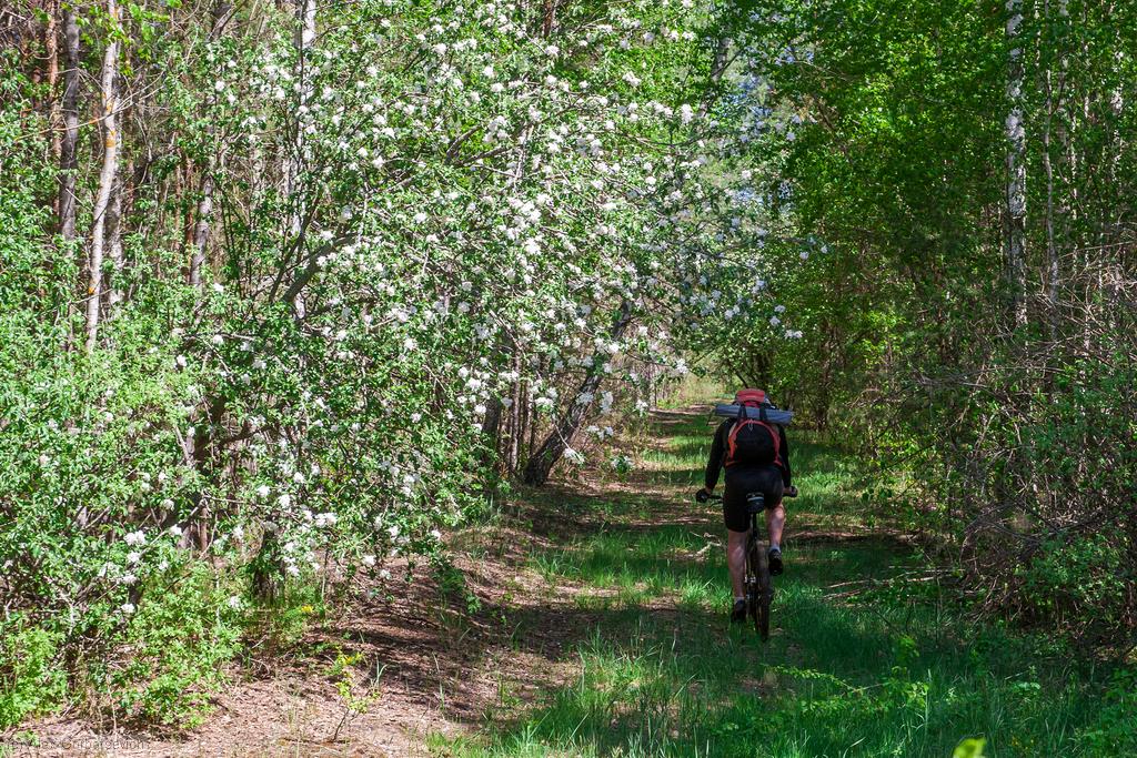 ������ ��� �������
