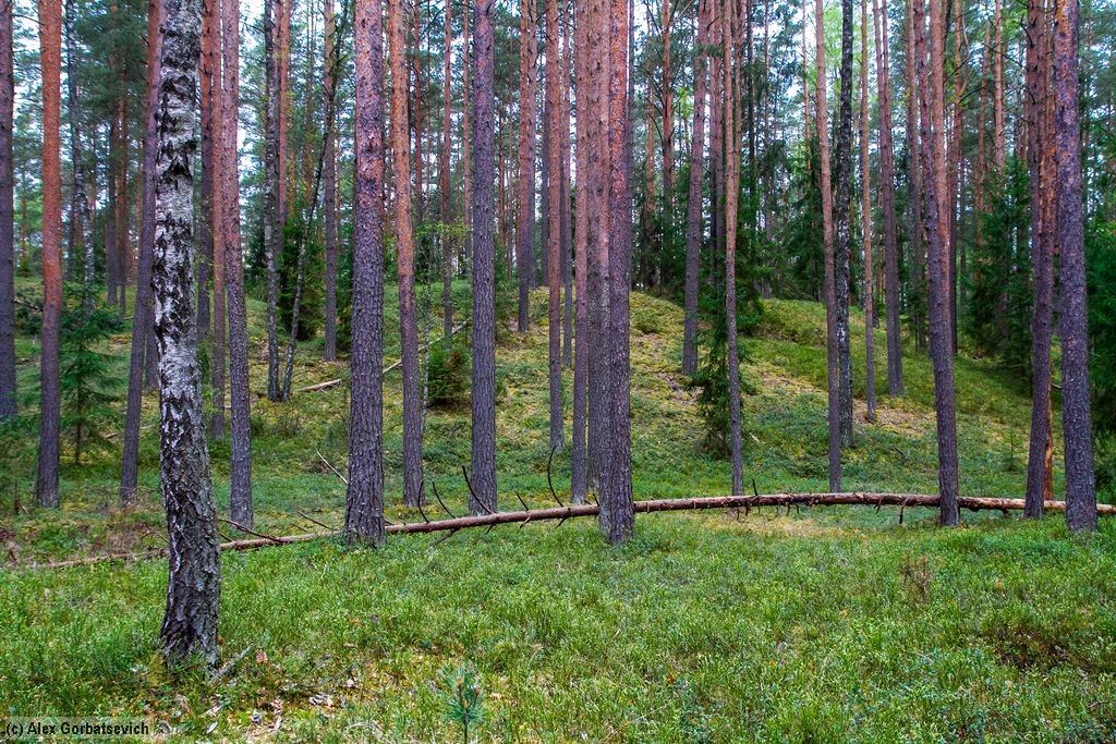 ���
