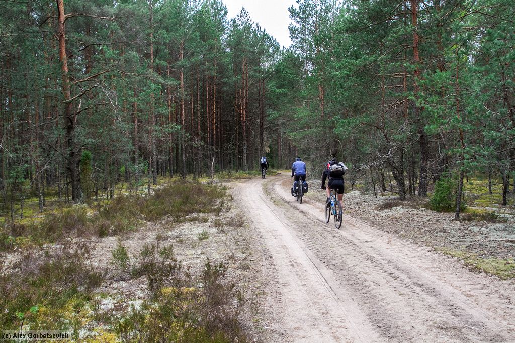 ������