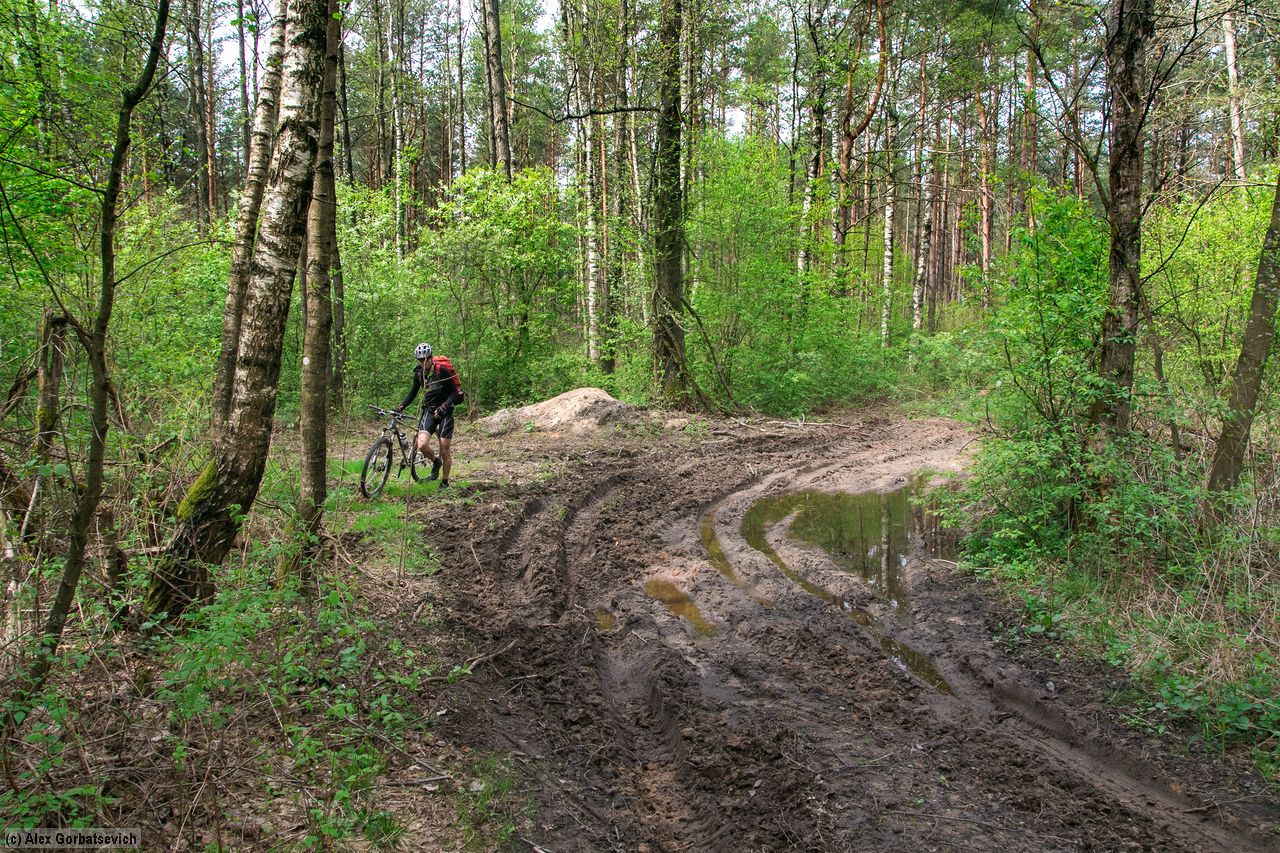 ������