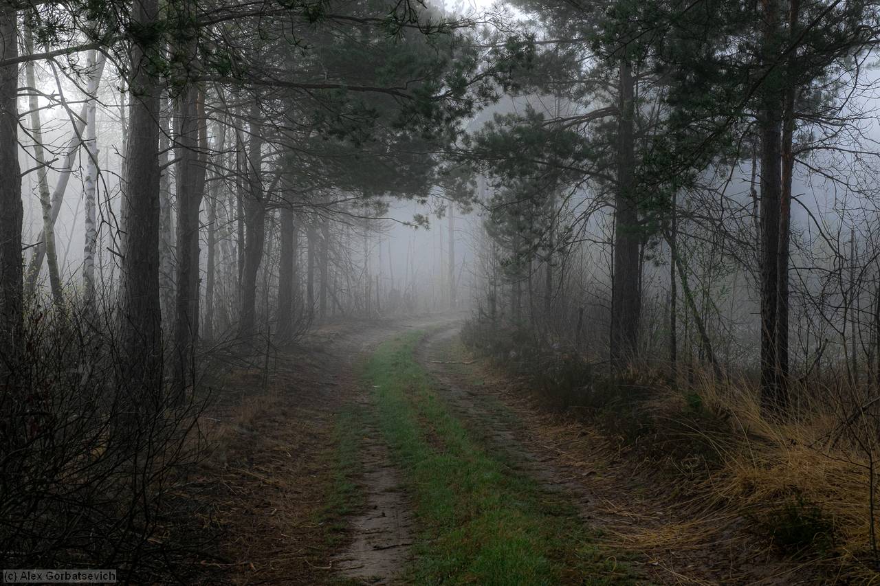 Silent Hill