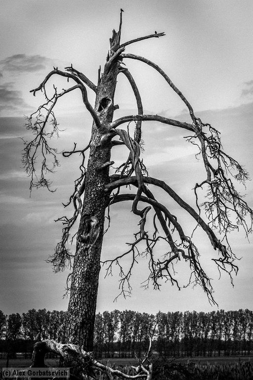 �������� ������