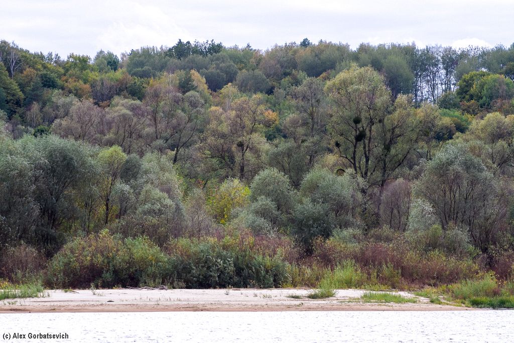 ��� �� ������