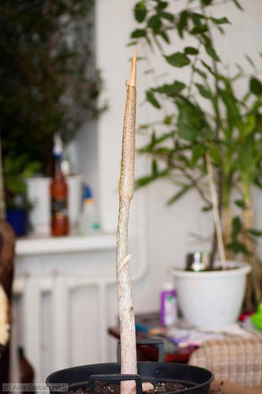 9 ������