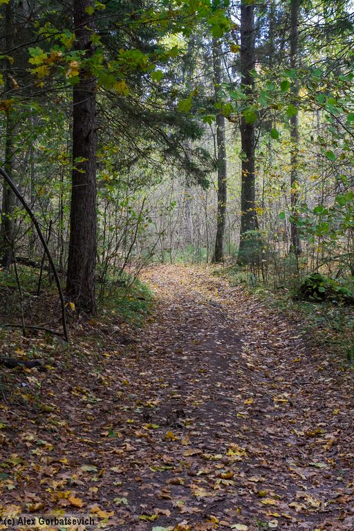 ������� ���