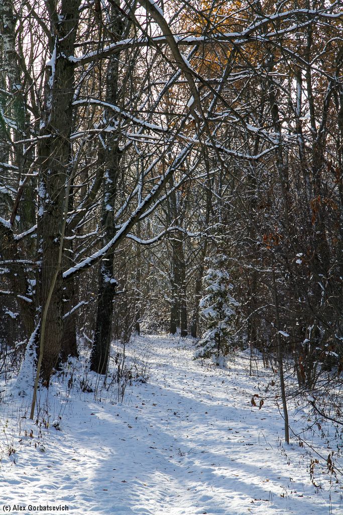 ���� � ����