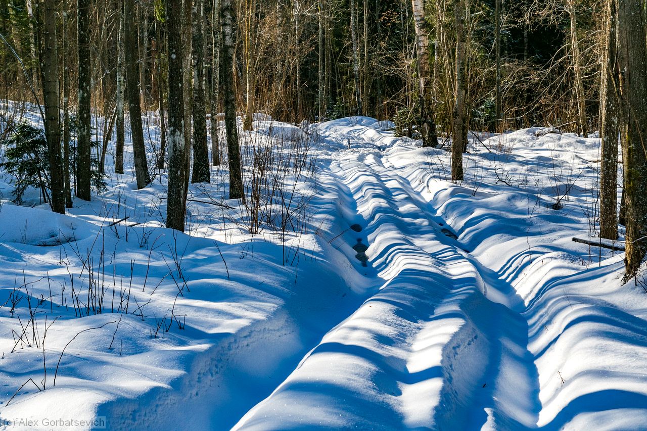 дорога