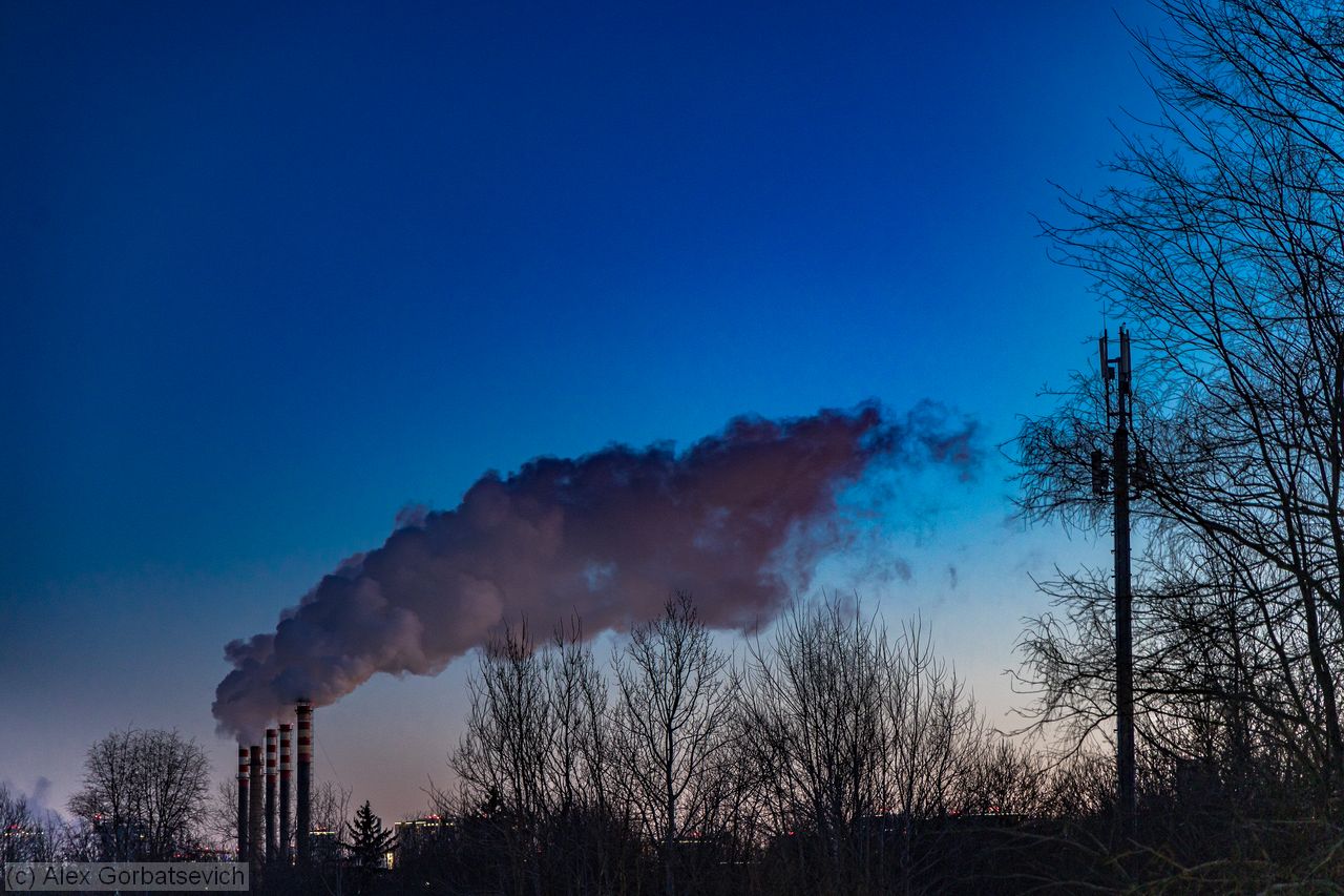 ����. ������ ���� ������