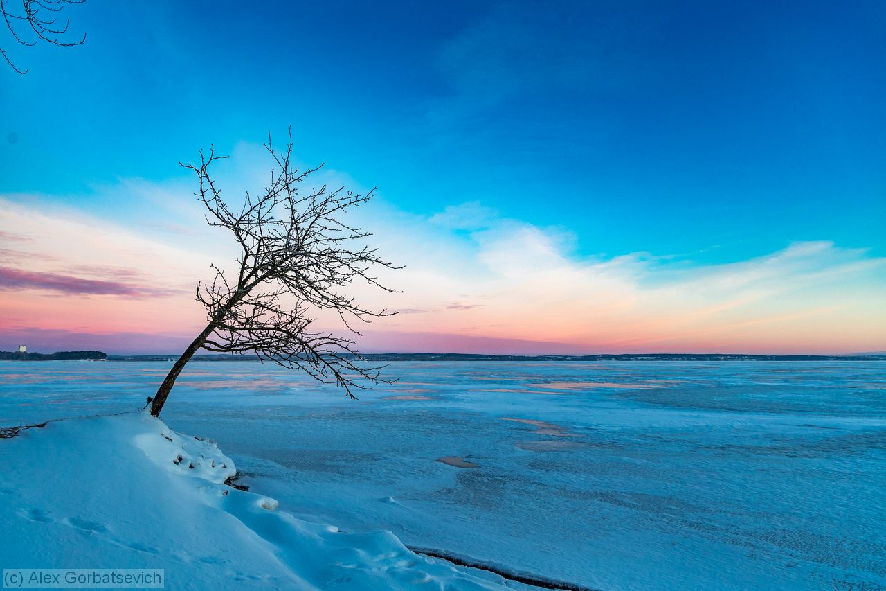 �� ������