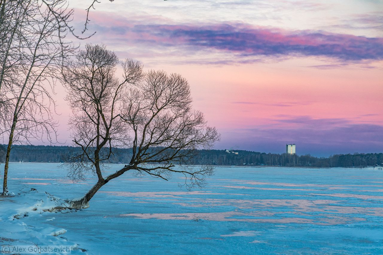 �� ������