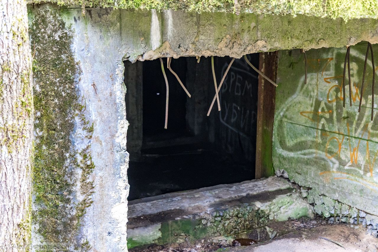 �� ���� ������