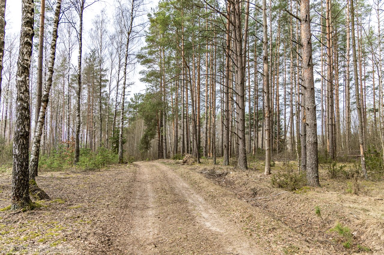 ����� �� ����