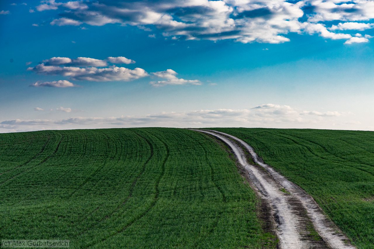 ����. ������