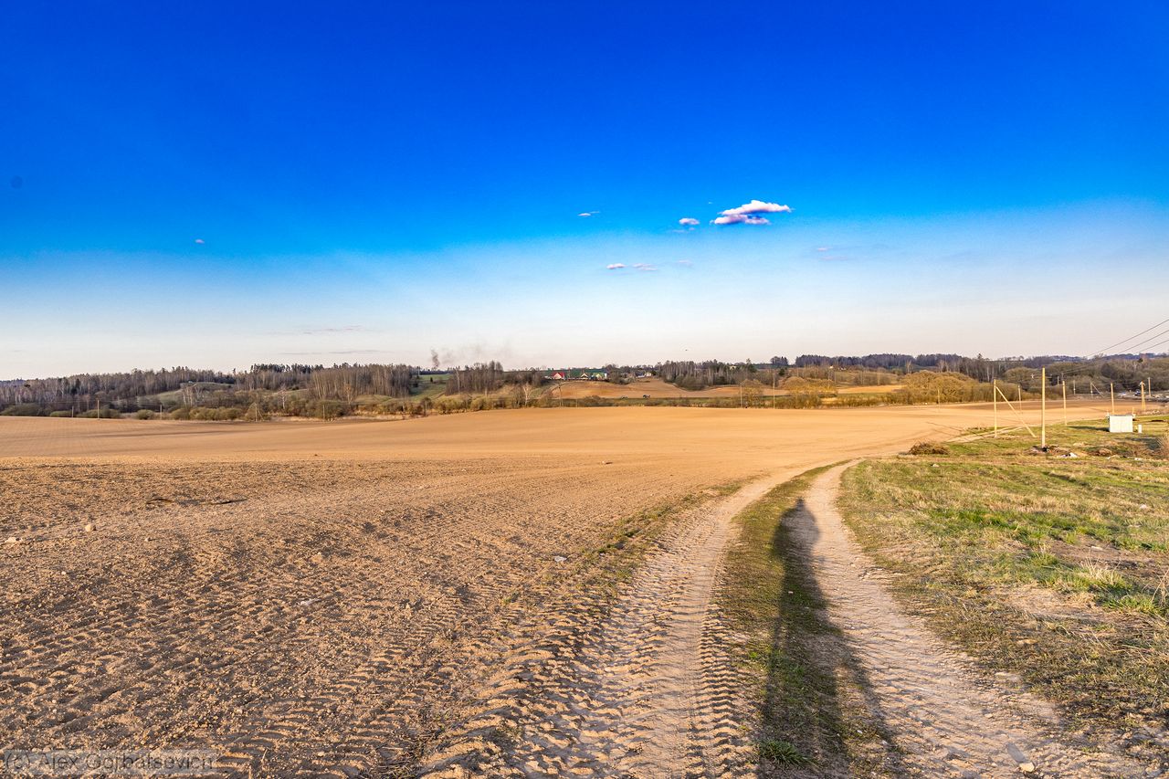 ���������� ����